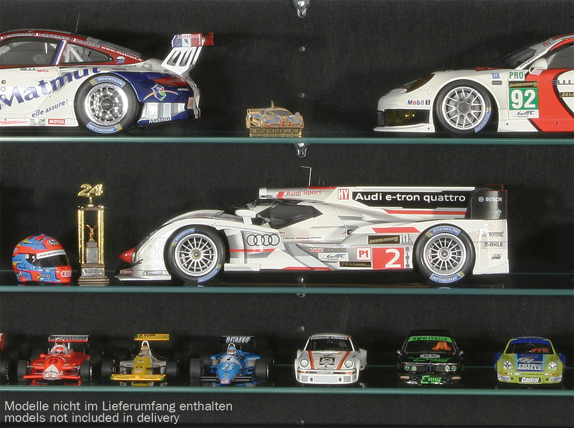 Wandvitrine Raceland, 100% staubdichte Sammler-Vitrine